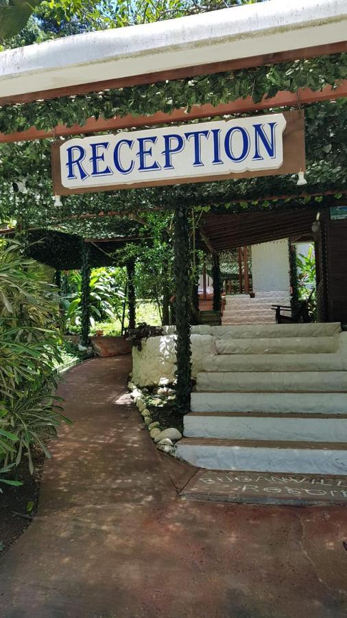 Hotel Bugabutik Puerto Viejo de Talamanca 외부 사진